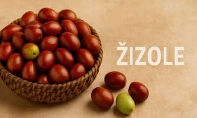 Žižole