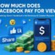 How Much Does Facebook Pay for Views
