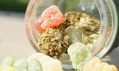 THC Gummies