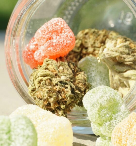 THC Gummies