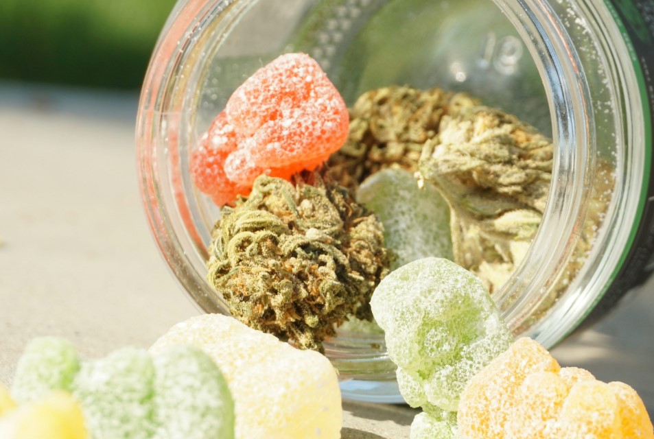 THC Gummies