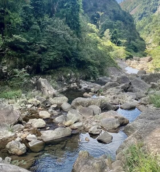 Tonghou