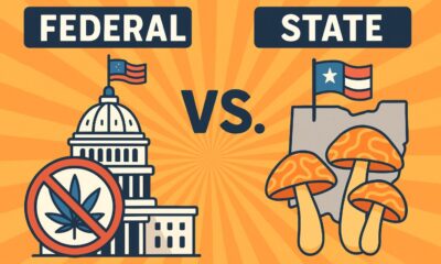 Federal vs. State Rules on Psychedelics