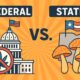 Federal vs. State Rules on Psychedelics