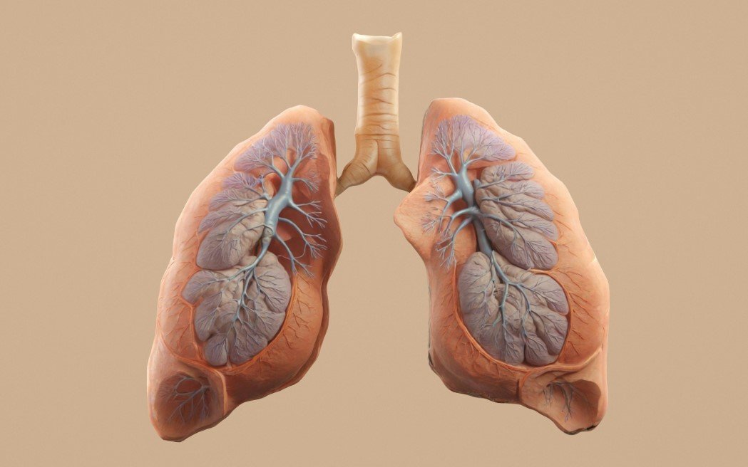 Respiratory Health Therapies