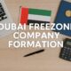Dubai Freezone Company Formation