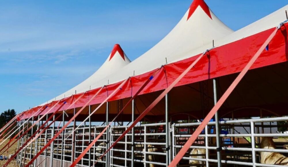 High Quality Pop Up Tent Frames