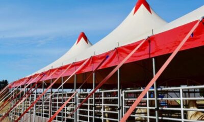 High Quality Pop Up Tent Frames