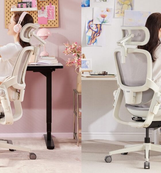 Ergonomic Office Chair for Women That Actually Fits